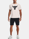 Under Armour Pánské tričko Under Armour Pjt Rock Brahma Bull SS