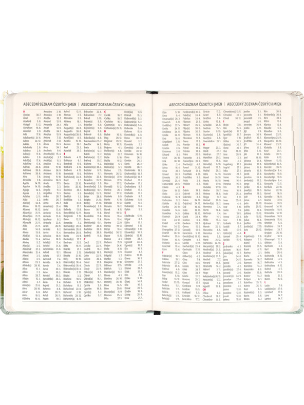 NOTIQUE NOTIQUE 18měsíční diář Petito – Kapybara 2026/2027, 11 x 16 cm