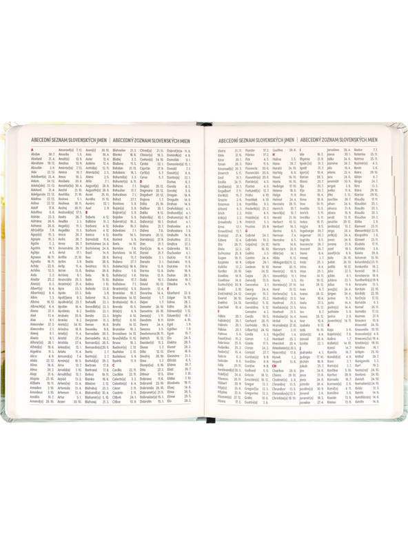 NOTIQUE NOTIQUE 18měsíční diář Petito – Kapybara 2026/2027, 11 x 16 cm