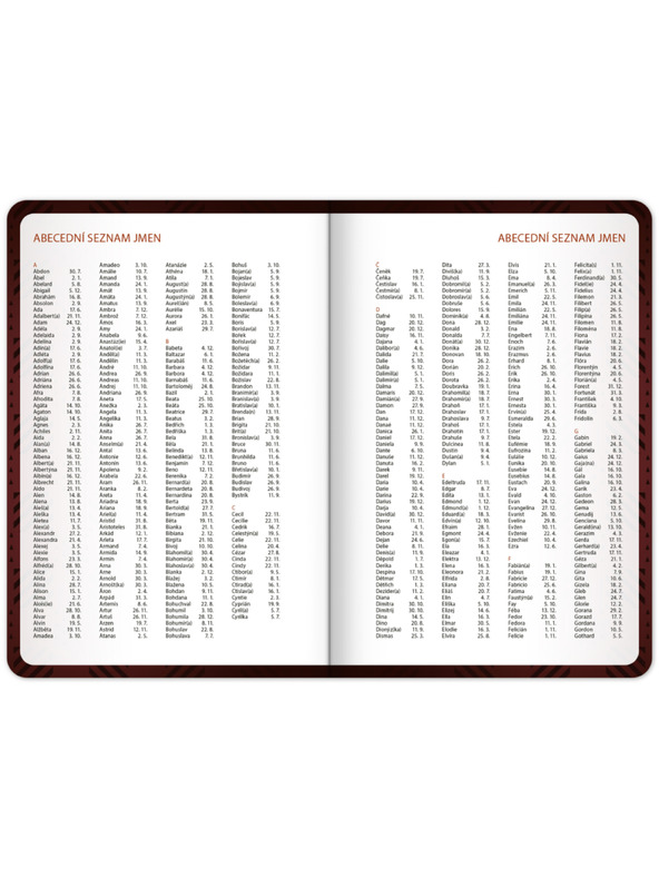 NOTIQUE NOTIQUE Studentský diář Harry Potter (září 2026 – prosinec 2027), 9,8 x 14,5 cm