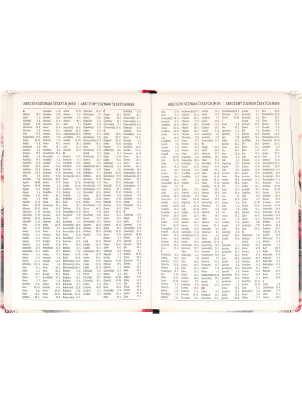 NOTIQUE NOTIQUE 18měsíční diář Petito – Japonsko 2026/2027, 11 x 16 cm