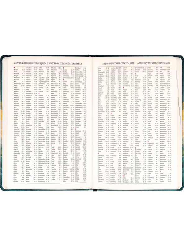 NOTIQUE NOTIQUE 18měsíční diář Petito – Spící liška 2026/2027, 11 x 16 cm