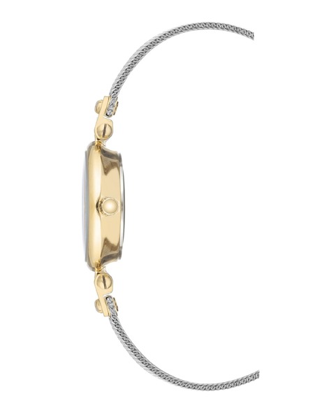Anne Klein Dámské kulaté hodinky Anne Klein mesh AK/3003SVTT