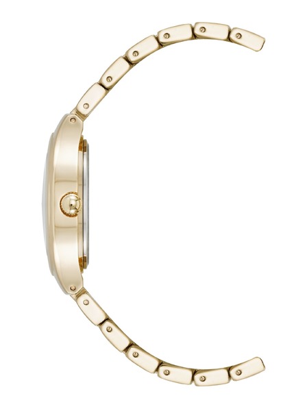 Anne Klein Dámské kulaté hodinky Anne Klein AK/5132SVGB