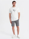 Ombre Clothing Sada dvou pánských teplákových šortek s potiskem - světle modrá/šedá V2 Z127 Ombre Clothing
