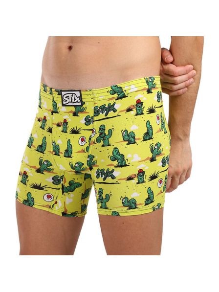 Styx Pánské boxerky Styx long art klasická guma kaktusy