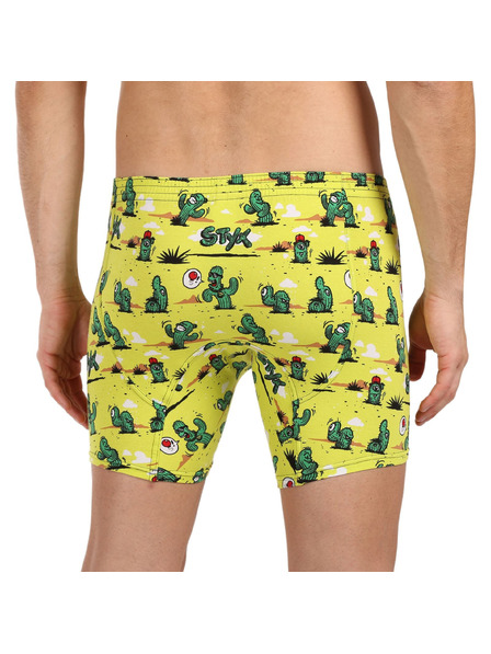 Styx Pánské boxerky Styx long art klasická guma kaktusy