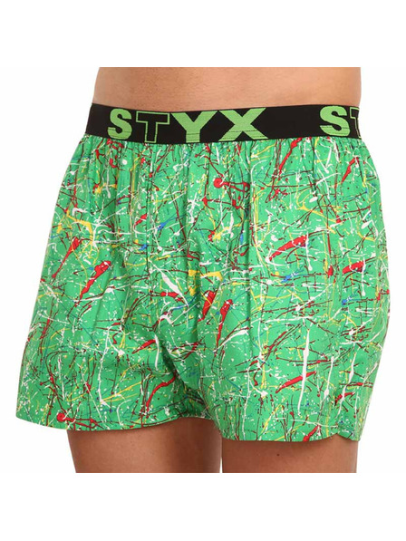 Styx Pánské trenky Styx art sportovní guma Jáchym