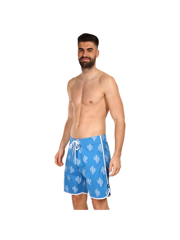 69slam Pánské plavky 69SLAM desert scene blue theo