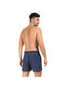 Tommy Hilfiger Pánské plavky Tommy Hilfiger vícebarevné