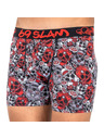 69slam Pánské boxerky 69SLAM fit bamboo red sugar crane