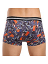 69slam Pánské boxerky 69SLAM Hip KABUKI MASON