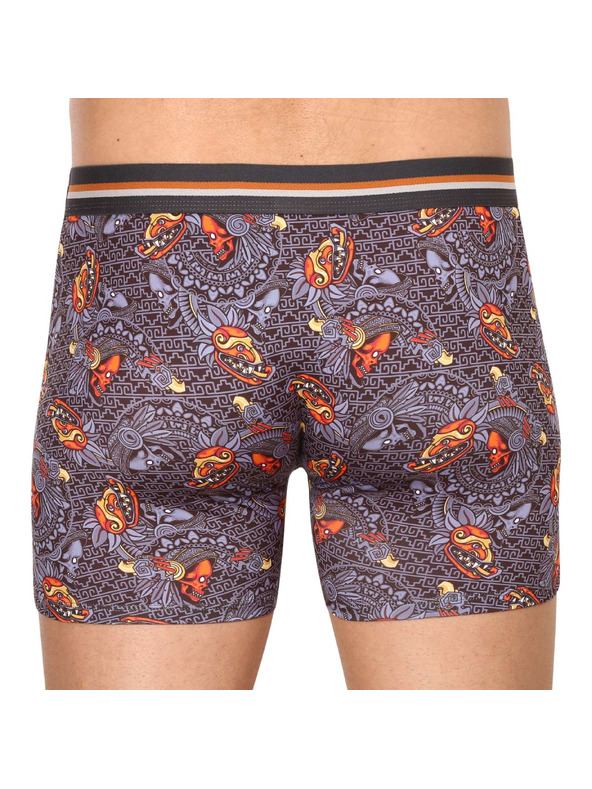 69slam Pánské boxerky 69SLAM fit mayan head dylan