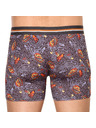 69slam Pánské boxerky 69SLAM fit mayan head dylan
