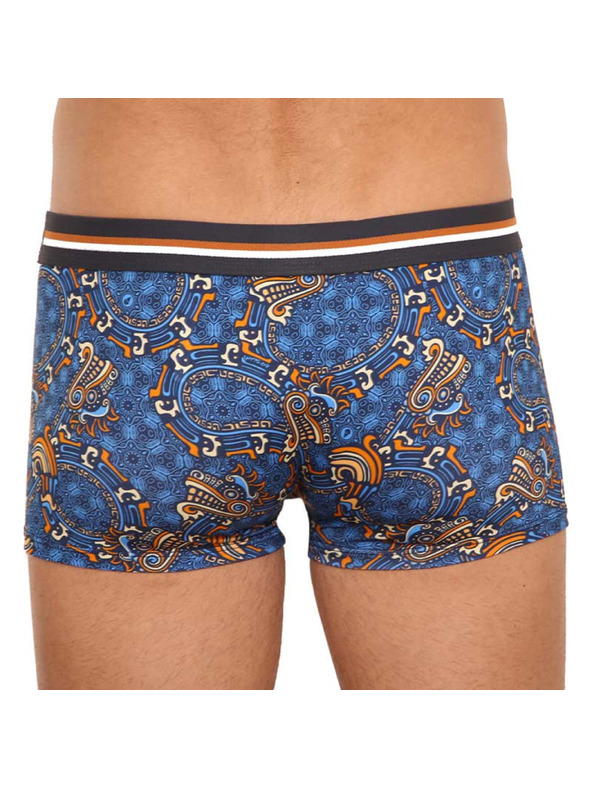 69slam Pánské boxerky 69SLAM hip mayan dragon