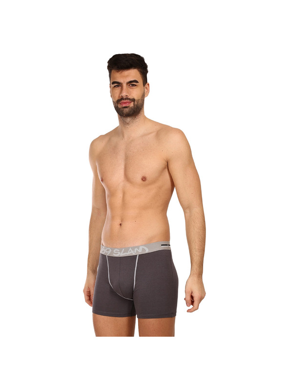 69slam Pánské boxerky 69SLAM fit bamboo plain