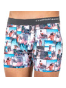 69slam Pánské boxerky 69SLAM fit under the palm