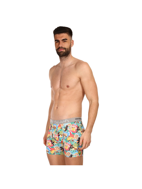 69slam Pánské boxerky 69SLAM fit toys glory