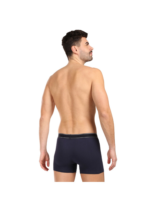andrie Pánské boxerky Andrie vícebarevné (PS 5828/dark blue)