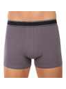 andrie Pánské boxerky Andrie vícebarevné (PS 5828/light gray)
