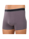 andrie Pánské boxerky Andrie vícebarevné (PS 5828/light gray)