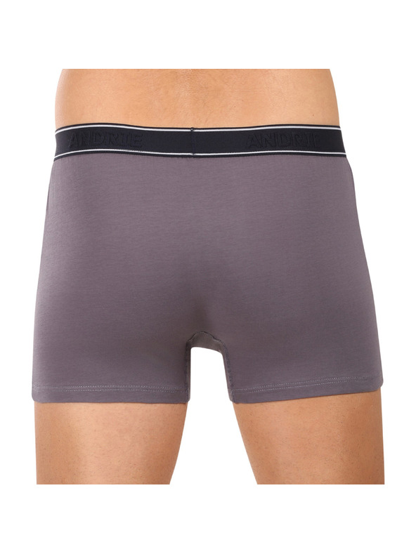 andrie Pánské boxerky Andrie vícebarevné (PS 5828/light gray)