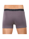 andrie Pánské boxerky Andrie vícebarevné (PS 5828/light gray)