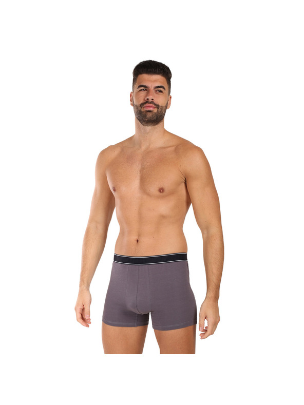 andrie Pánské boxerky Andrie vícebarevné (PS 5828/light gray)