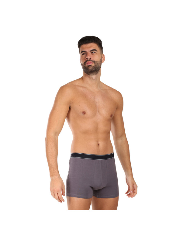 andrie Pánské boxerky Andrie vícebarevné (PS 5828/light gray)