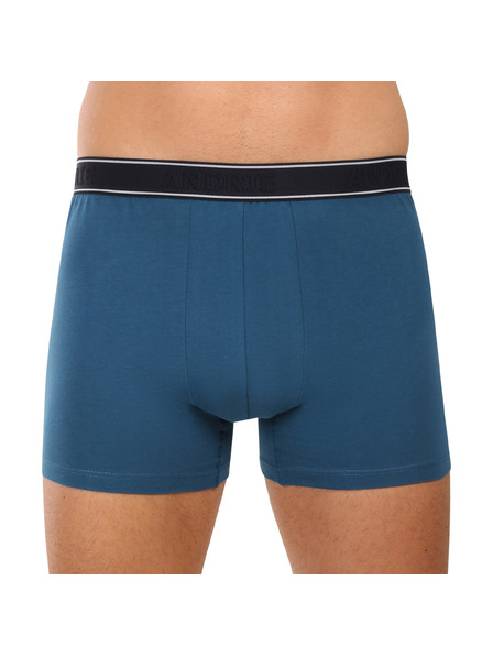 andrie Pánské boxerky Andrie vícebarevné (PS 5828/green)