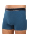 andrie Pánské boxerky Andrie vícebarevné (PS 5828/green)