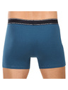 andrie Pánské boxerky Andrie vícebarevné (PS 5828/green)