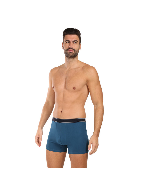 andrie Pánské boxerky Andrie vícebarevné (PS 5828/green)