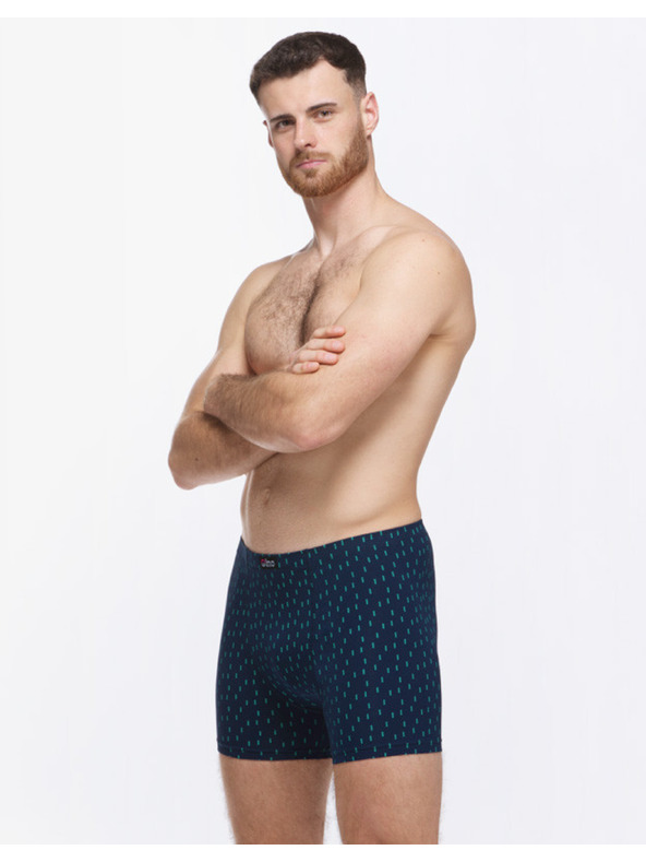 gino Pánské boxerky Gino vícebarevné