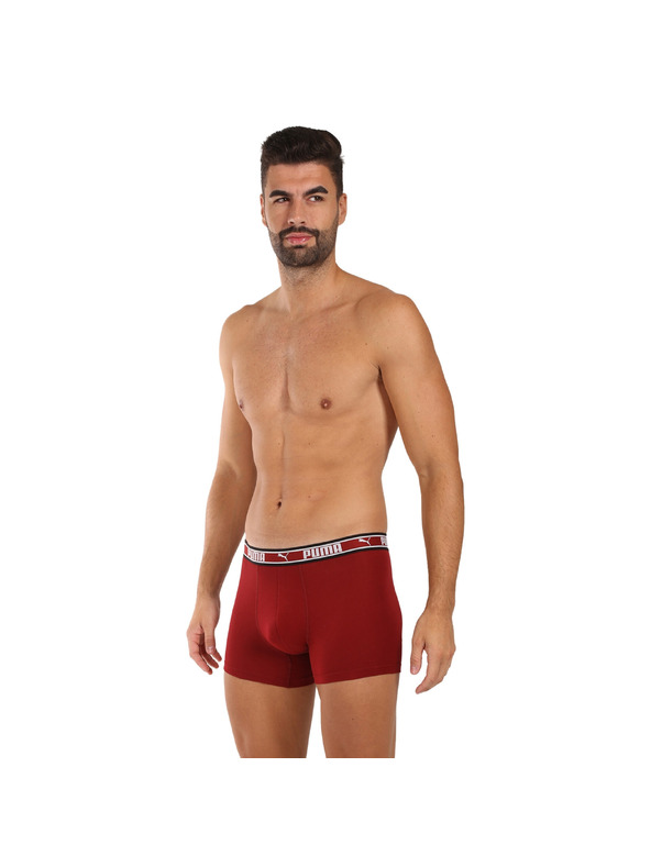 Puma Sada dvou - pánské boxerky Puma vícebarevné