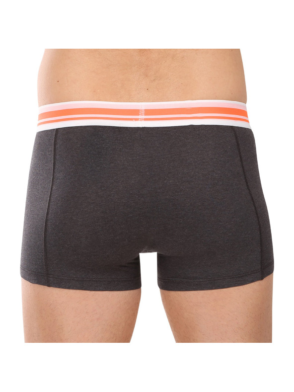 Puma Sada dvou - pánské boxerky Puma vícebarevné