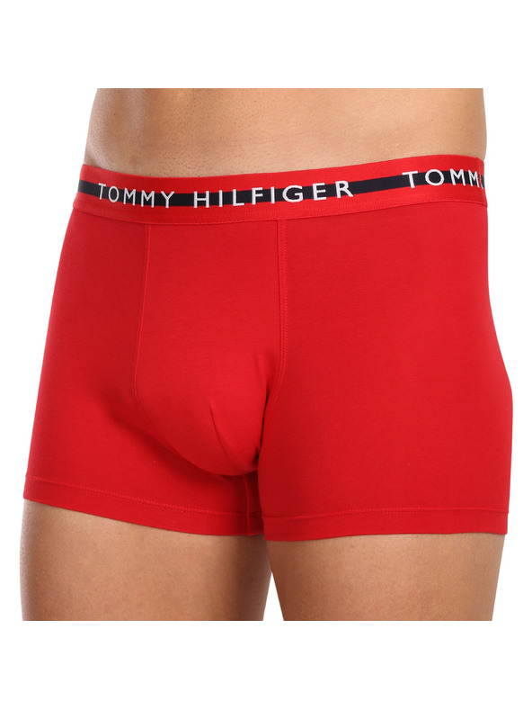 Tommy Hilfiger Sada tří - pánské boxerky Tommy Hilfiger vícebarevné