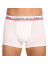 Tommy Hilfiger Sada tří - pánské boxerky Tommy Hilfiger vícebarevné