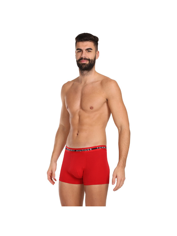 Tommy Hilfiger Sada tří - pánské boxerky Tommy Hilfiger vícebarevné