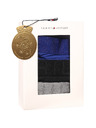 Tommy Hilfiger Sada tří - pánské boxerky Tommy Hilfiger vícebarevné