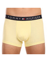 Tommy Hilfiger Sada tří - pánské boxerky Tommy Hilfiger vícebarevné