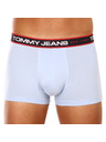 Tommy Hilfiger Sada tří - pánské boxerky Tommy Hilfiger vícebarevné