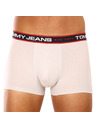 Tommy Hilfiger Sada tří - pánské boxerky Tommy Hilfiger vícebarevné