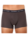 Tommy Hilfiger Sada tří - pánské boxerky Tommy Hilfiger vícebarevné