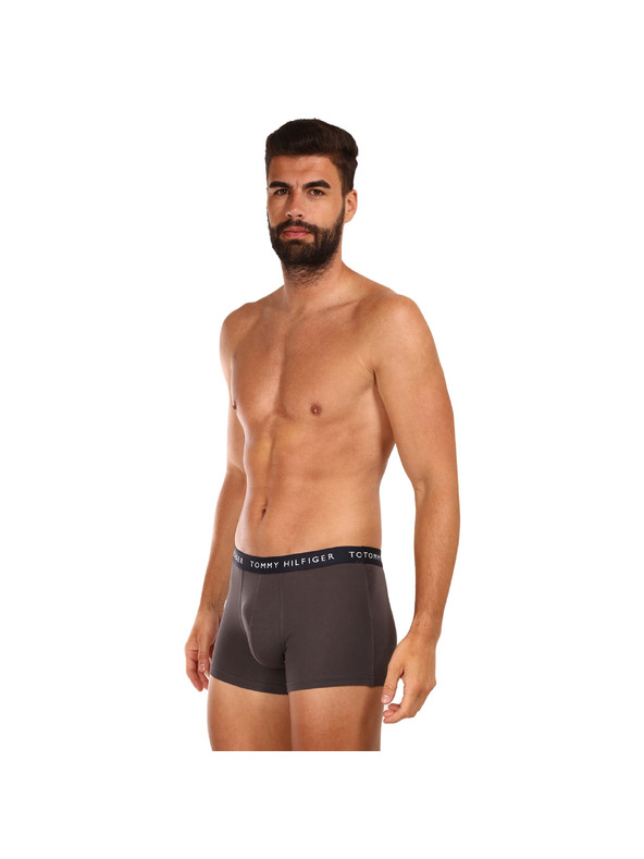 Tommy Hilfiger Sada tří - pánské boxerky Tommy Hilfiger vícebarevné