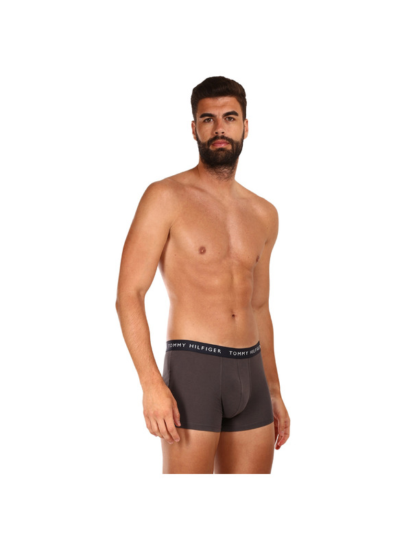 Tommy Hilfiger Sada tří - pánské boxerky Tommy Hilfiger vícebarevné