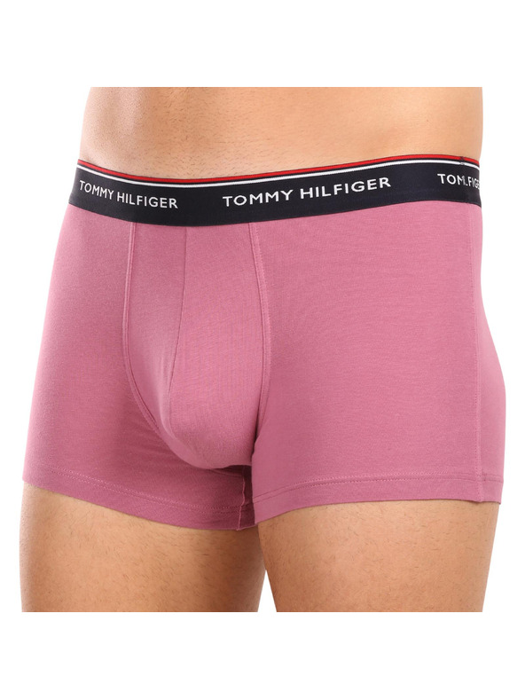 Tommy Hilfiger Sada tří - pánské boxerky Tommy Hilfiger vícebarevné