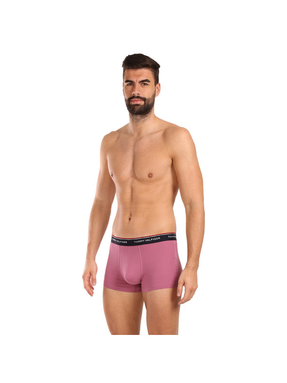 Tommy Hilfiger Sada tří - pánské boxerky Tommy Hilfiger vícebarevné