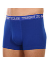 Tommy Hilfiger Sada tří - pánské boxerky Tommy Hilfiger vícebarevné
