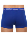 Tommy Hilfiger Sada tří - pánské boxerky Tommy Hilfiger vícebarevné